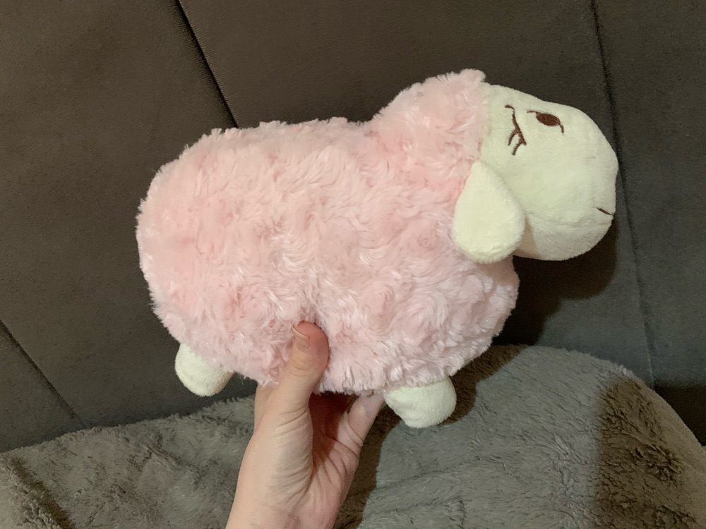 Sheep