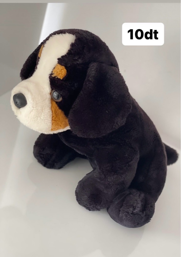 Peluche