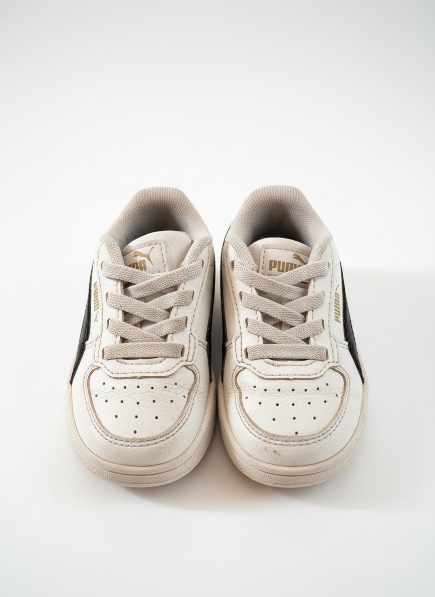 Basket puma