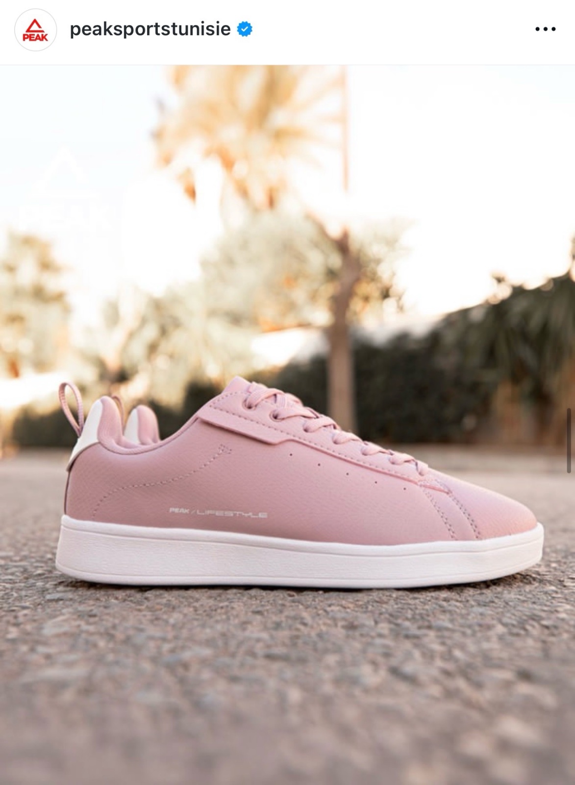Chaussures STARS PRIMI II