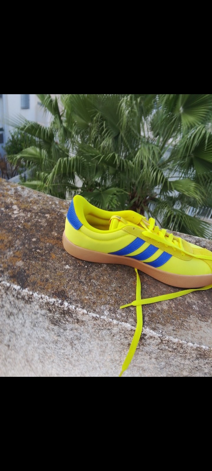 Chaussures adidas pointure 44 jamais porté