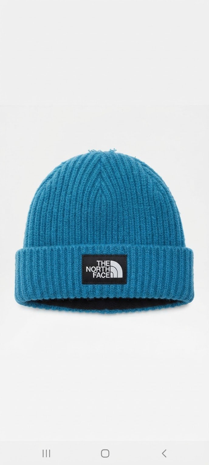 Bonnet the north face bleu authentique