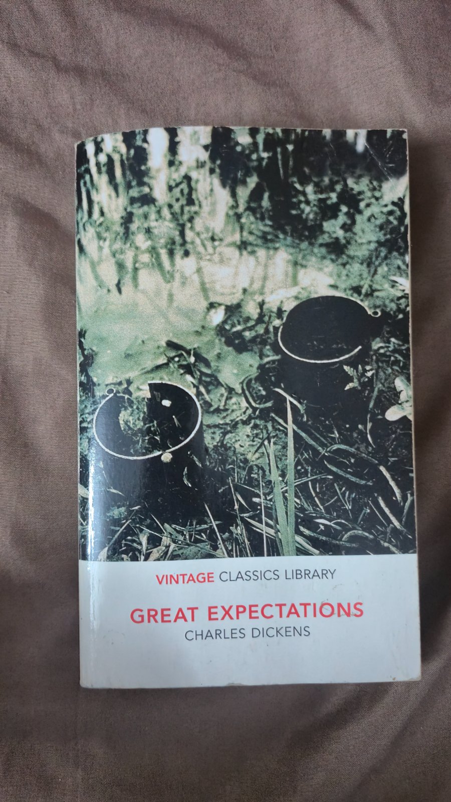 Great Expectations Charles Dickens