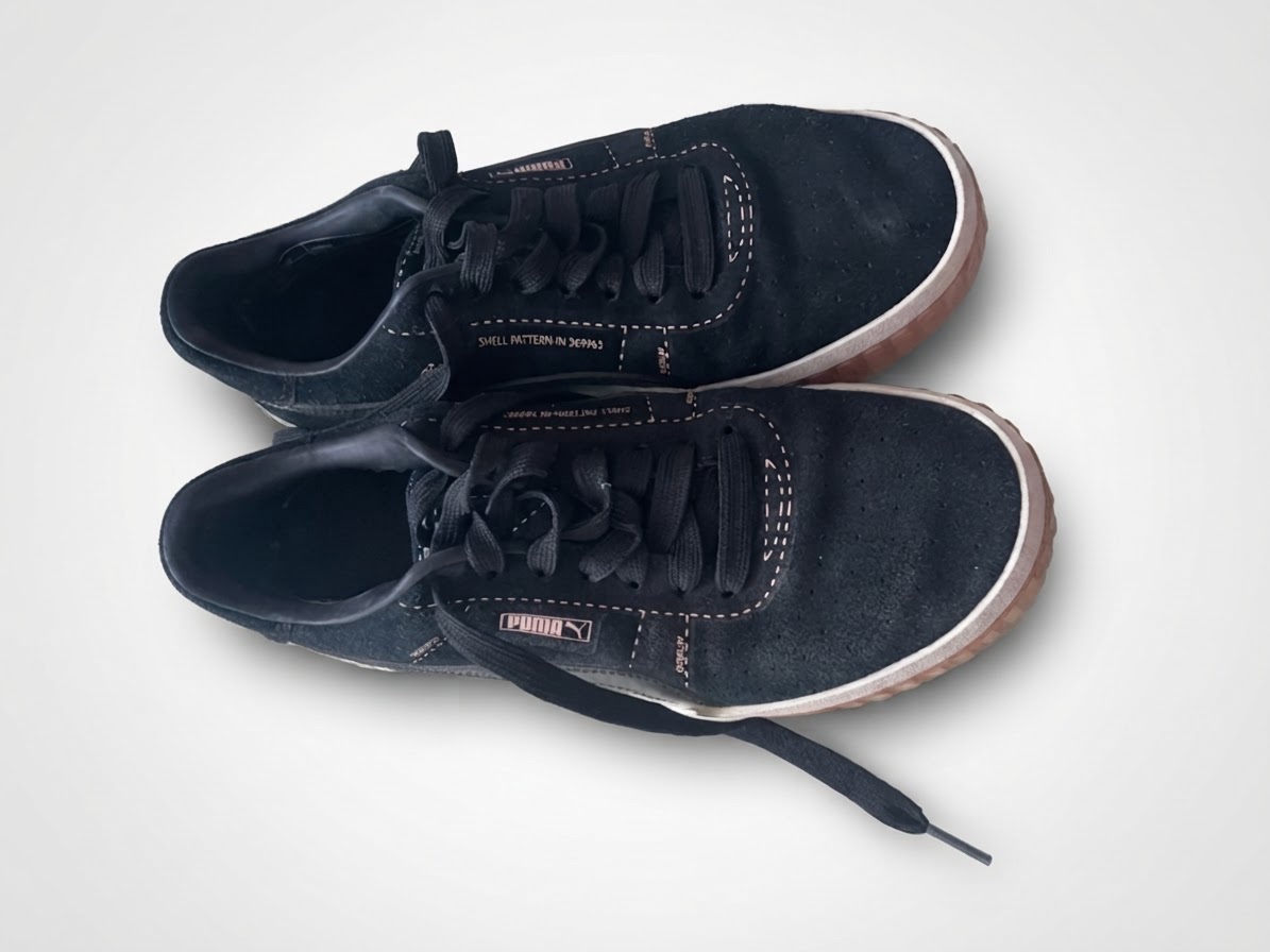 Basket puma