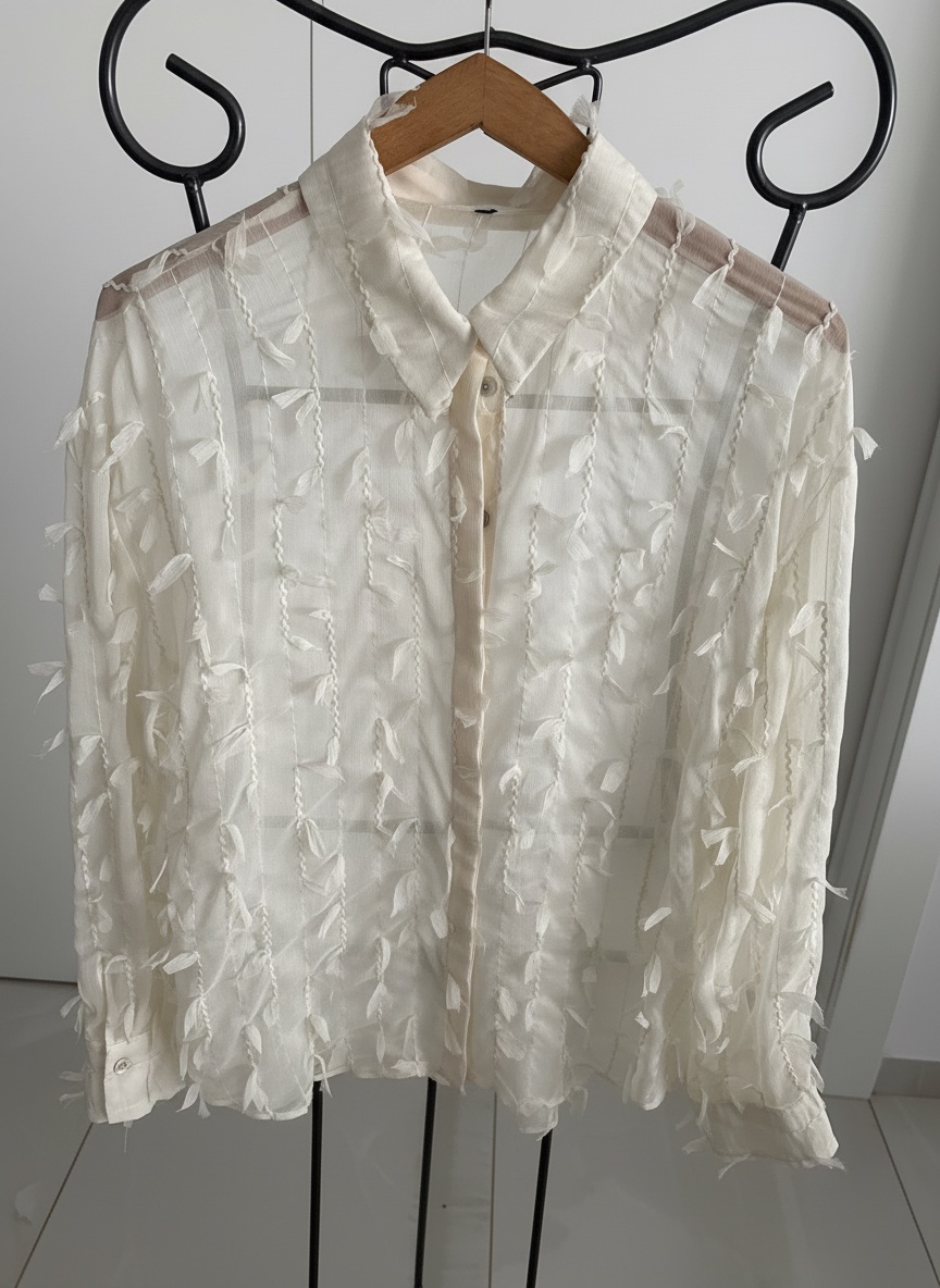 Chemise transparente 