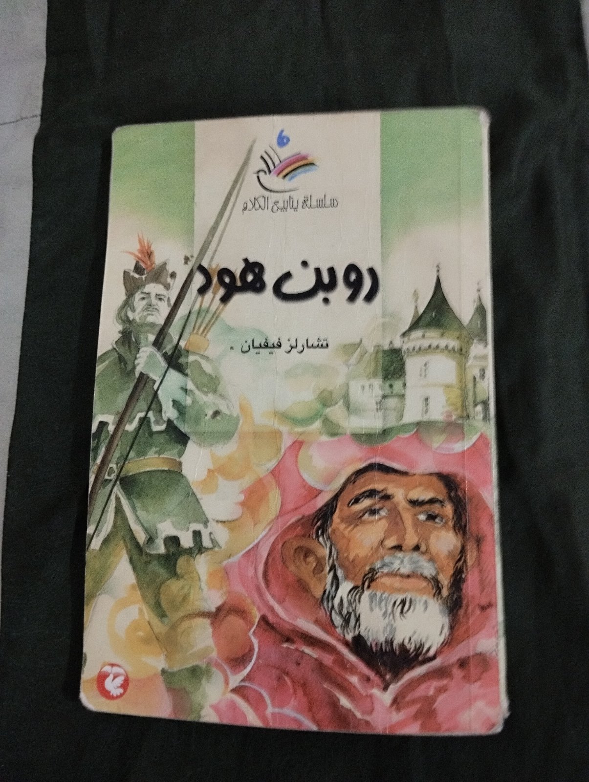 Livre Roben Hood Charlez Viviane 
