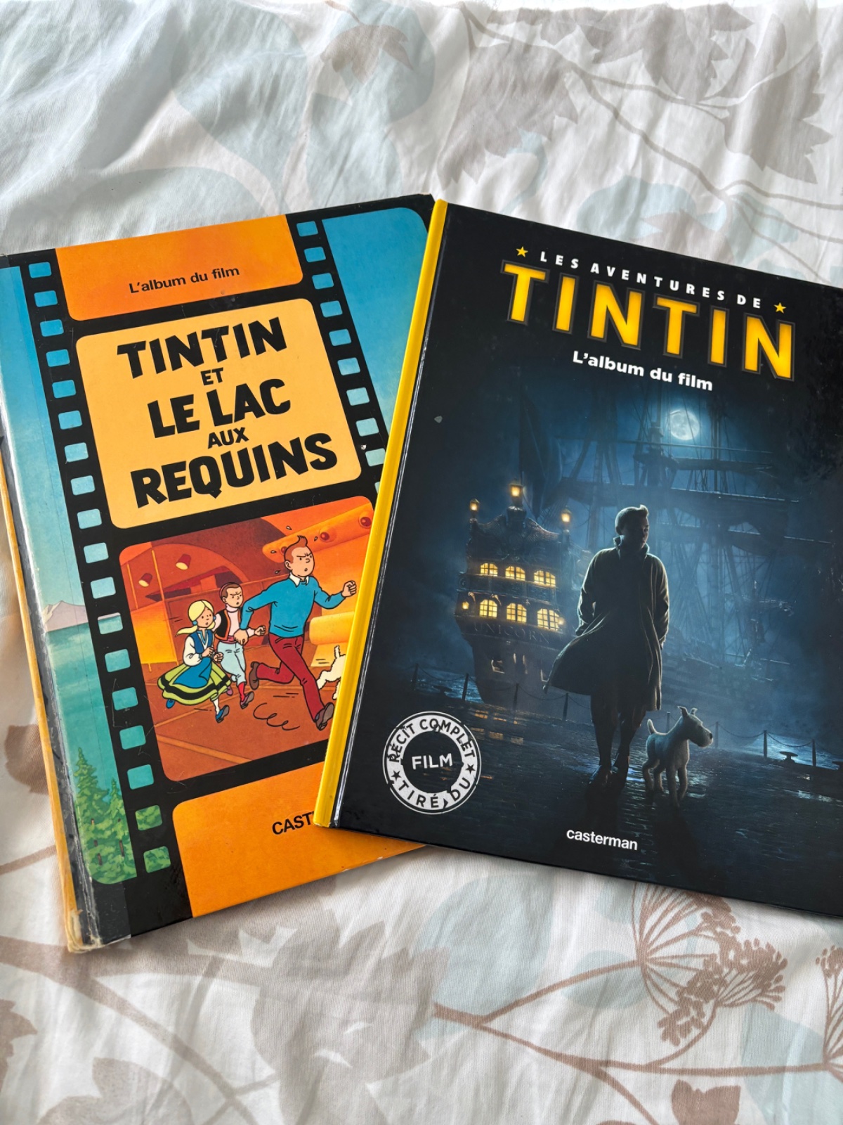 2 livres tintin