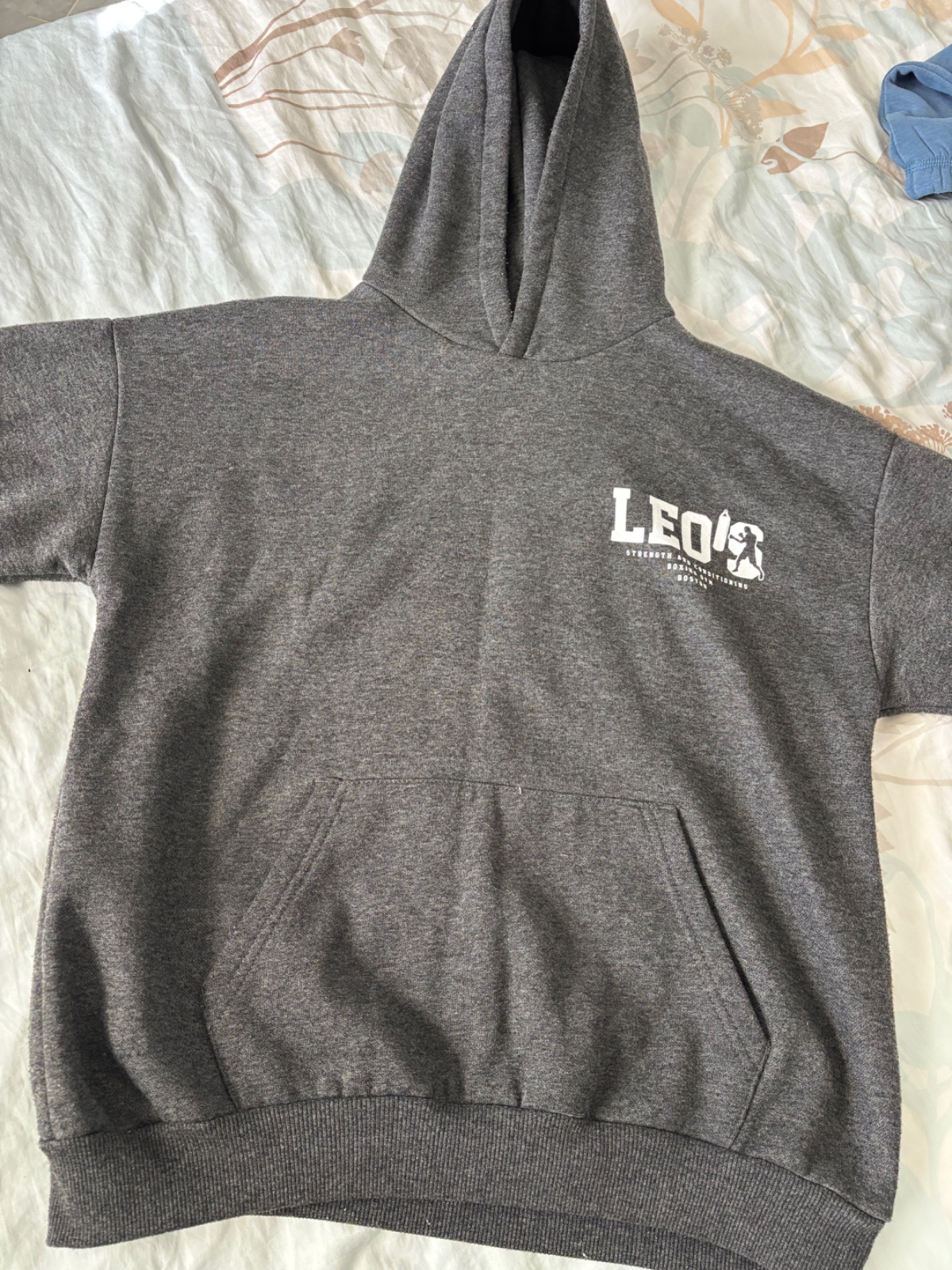 Pull/sweat gris leo's