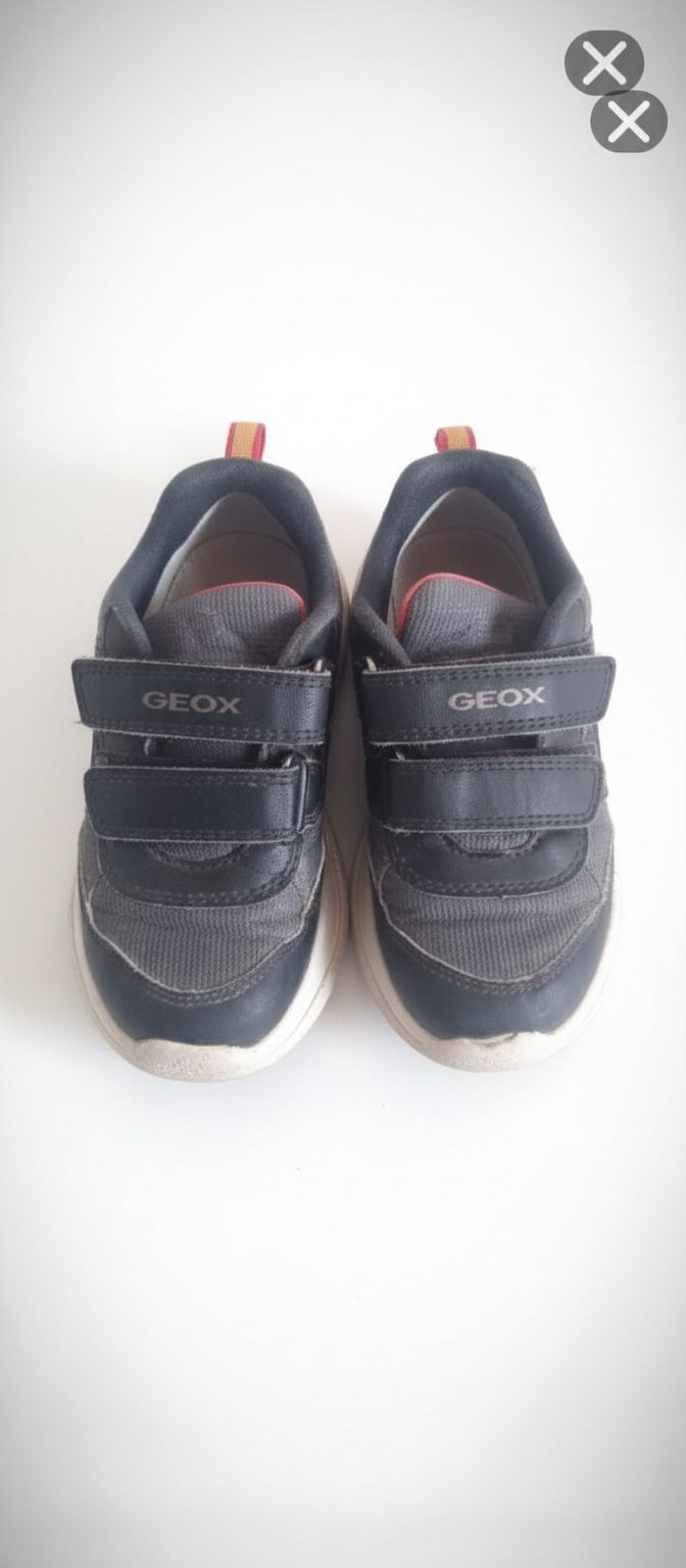 Basket Geox 