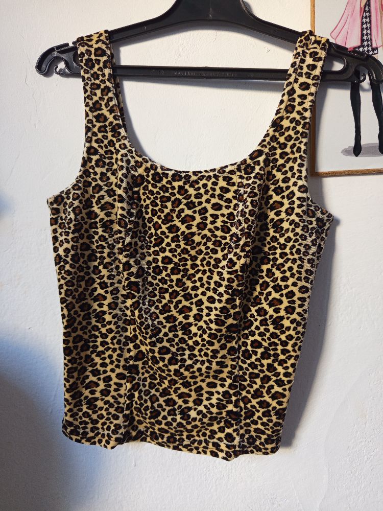 Pull tigre