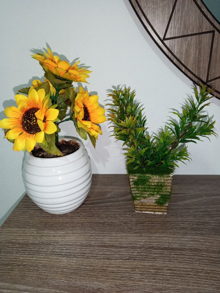 deux plantes artificielles 