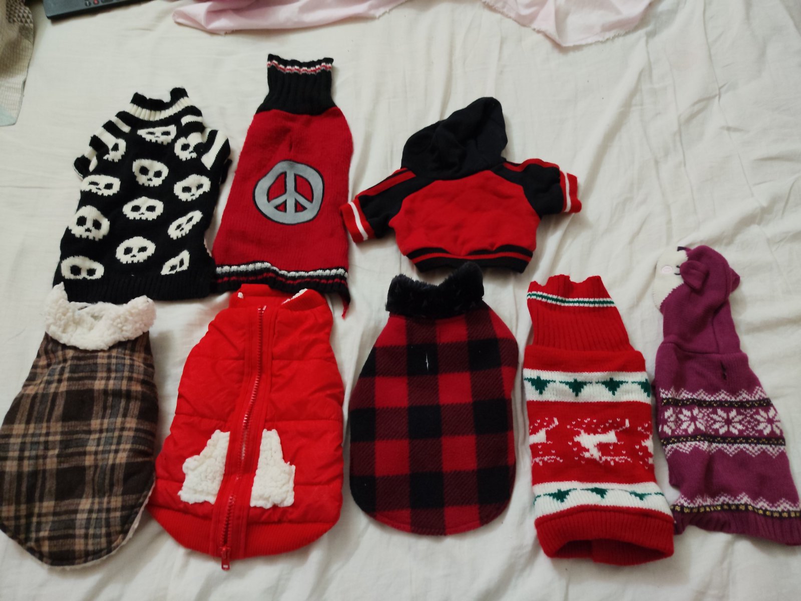 Vêtements pour chat ou chien miniature 
