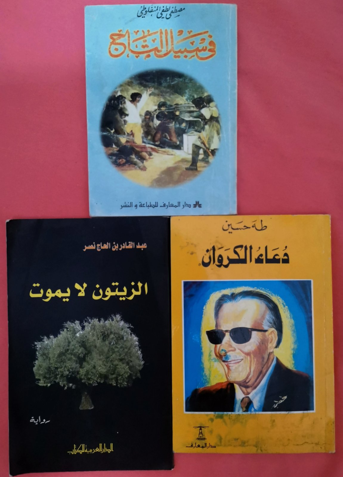 Lot de 3 livres arabes – Classiques de la littérature