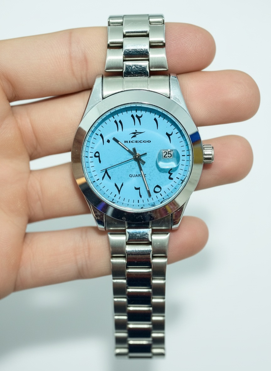Montre en acier inoxydable