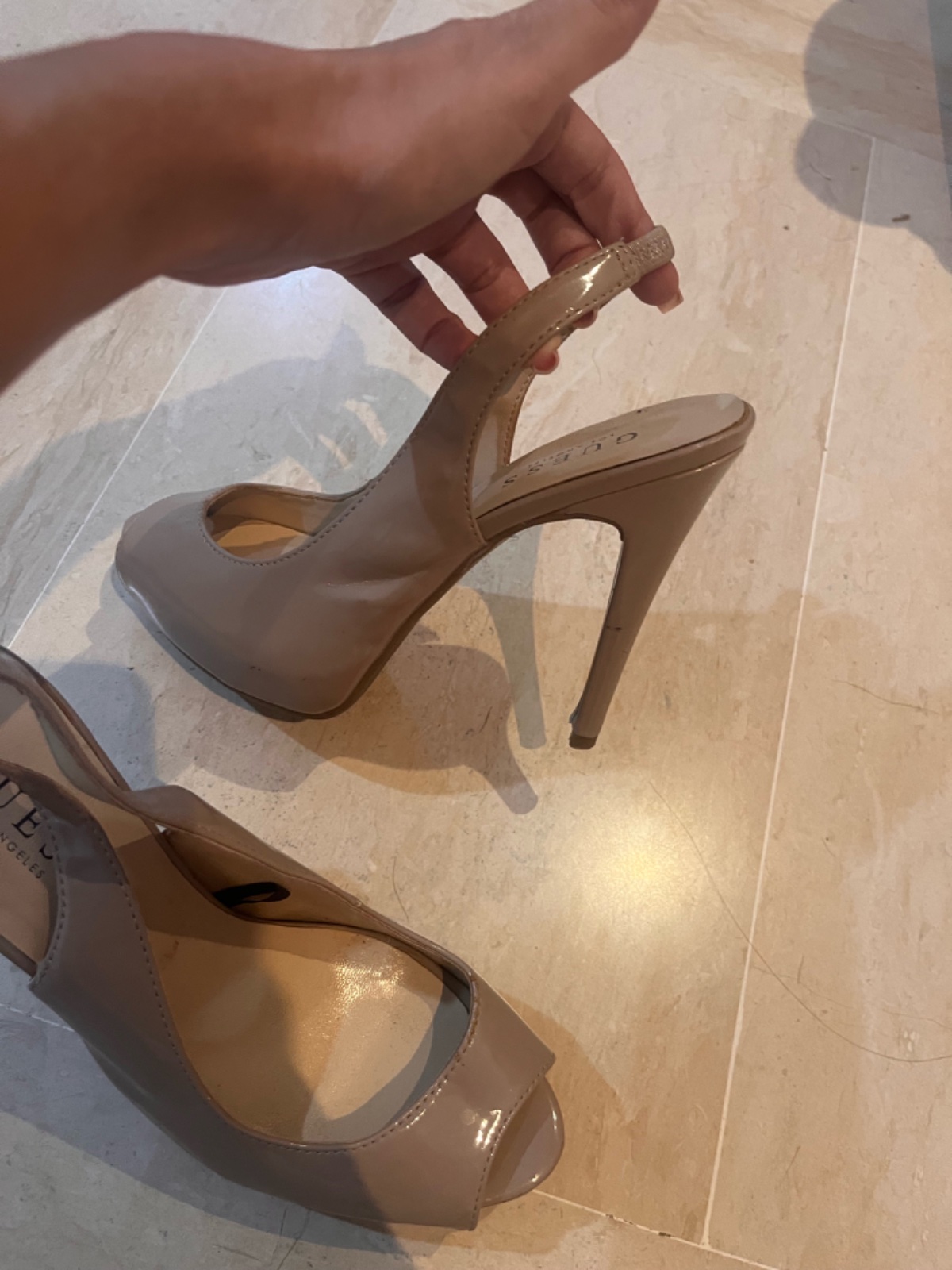 Talon guess 