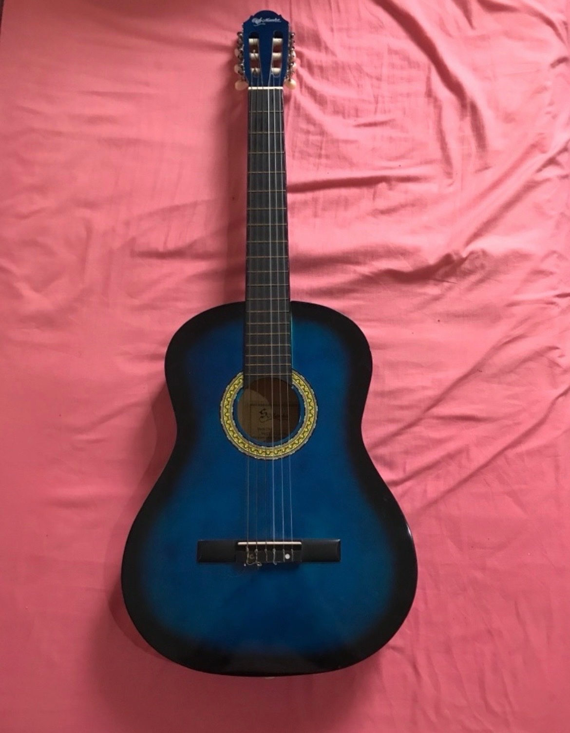Guitar
