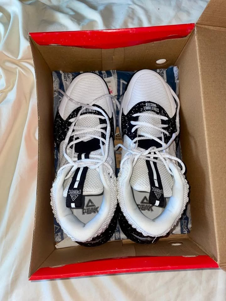   Chaussures Basketball PEAK