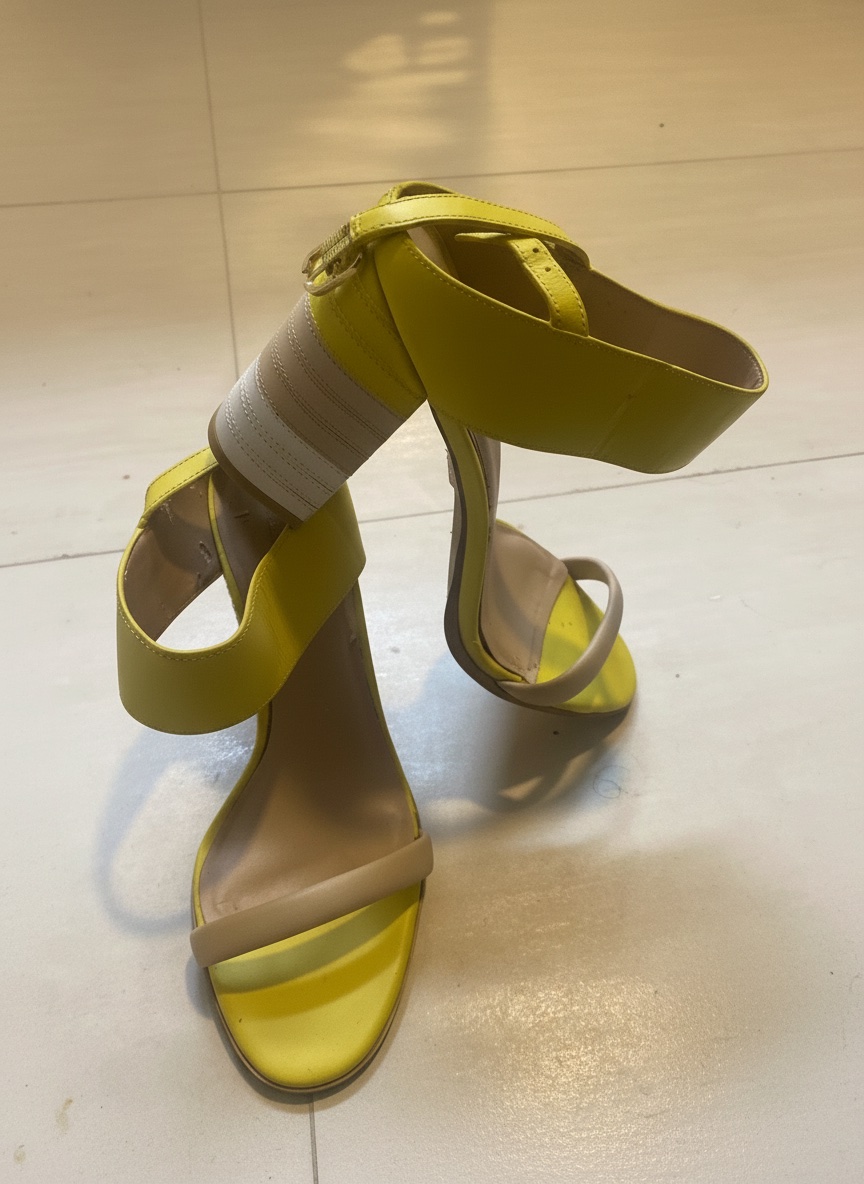 Paire de chaussure aldo