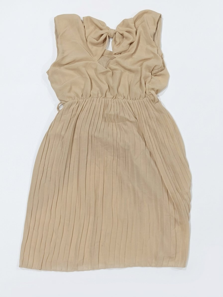 Beige Chiffon Pleated Dress with Bow Back Detail