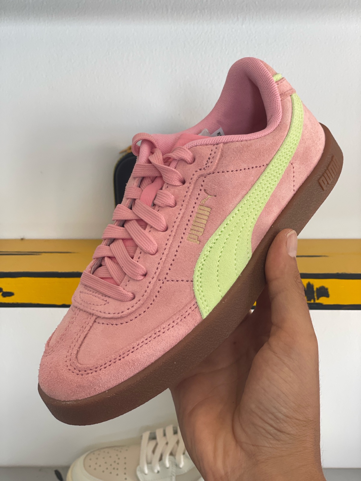 Puma 