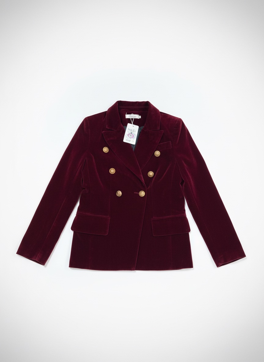 Blazer en velour 