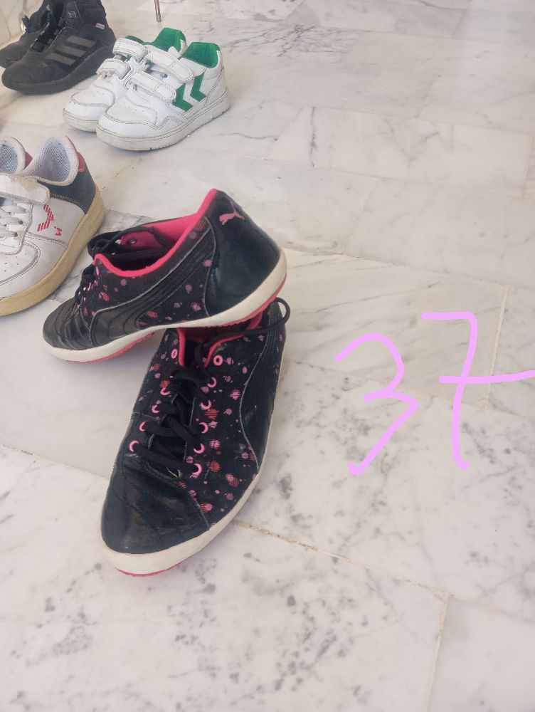 Basket puma
