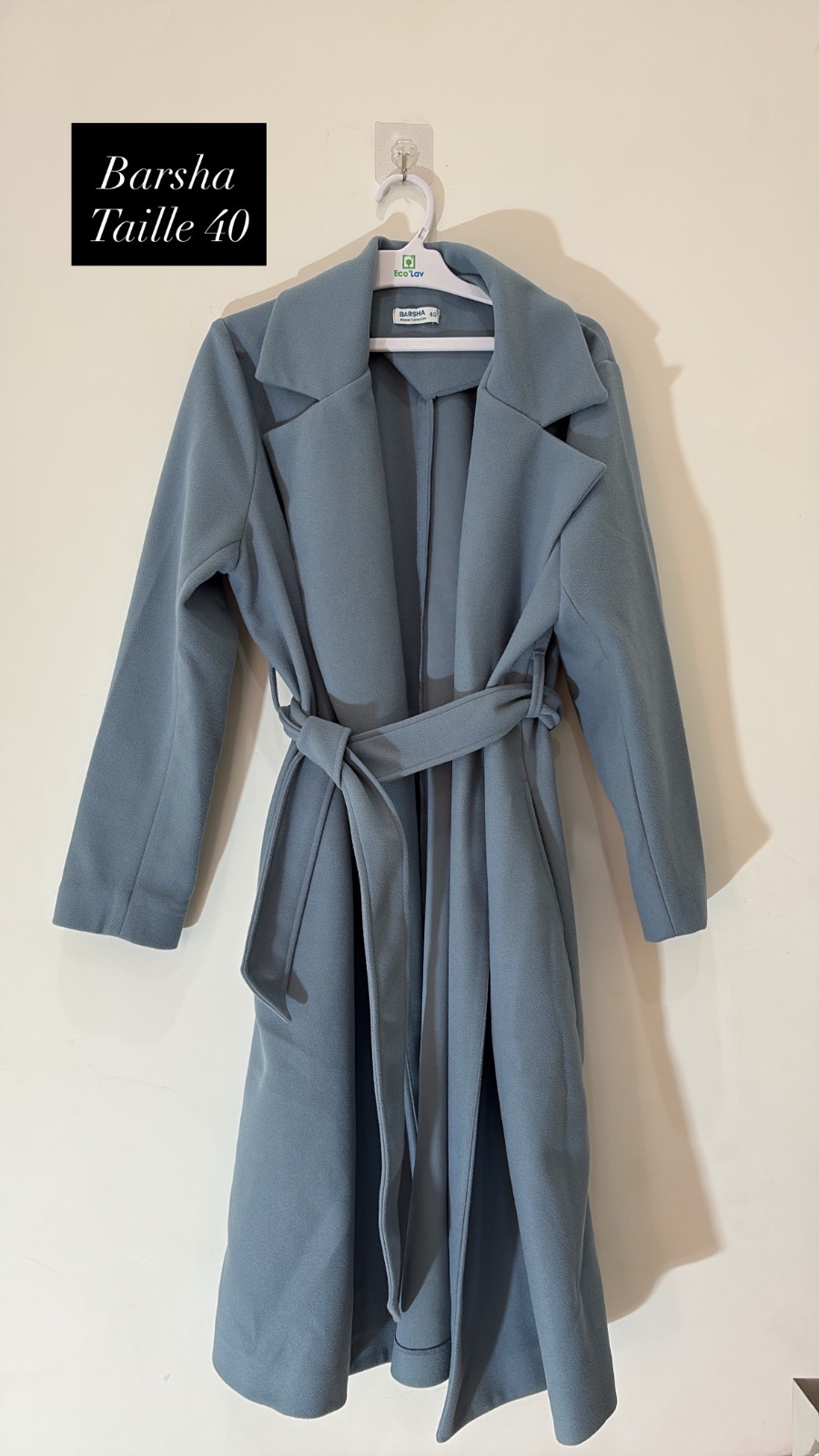 Manteau bleu 