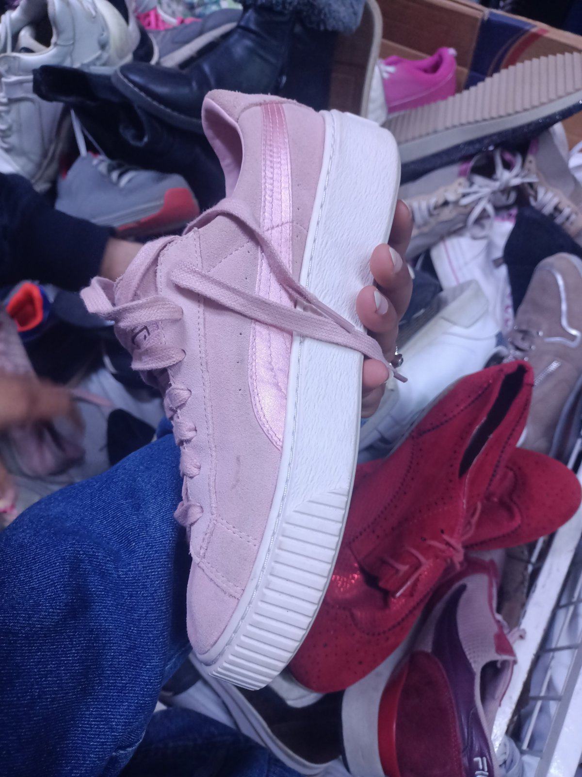 Basket puma