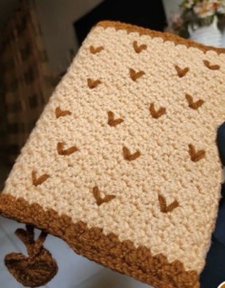 Crochet book cover