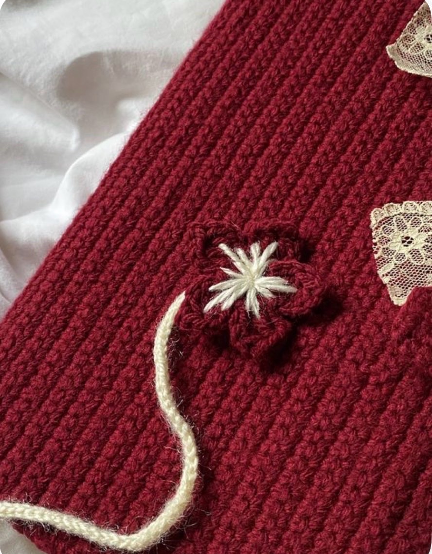 Crochet red book cover