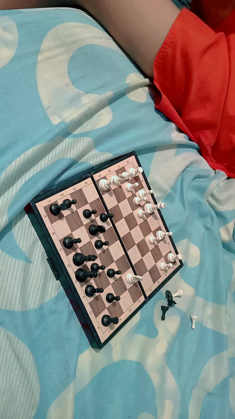 Chess 