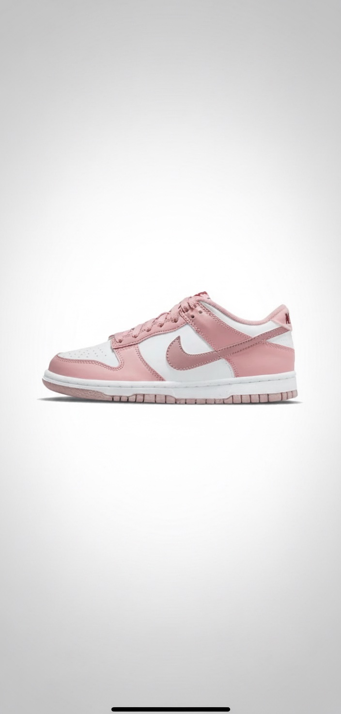 Nike dunk law