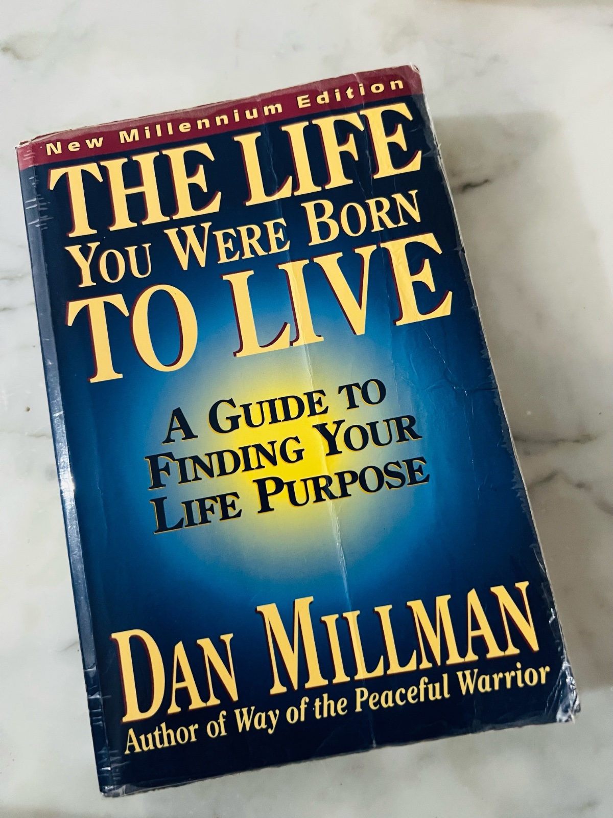 Livre ´the life you were born to live ´