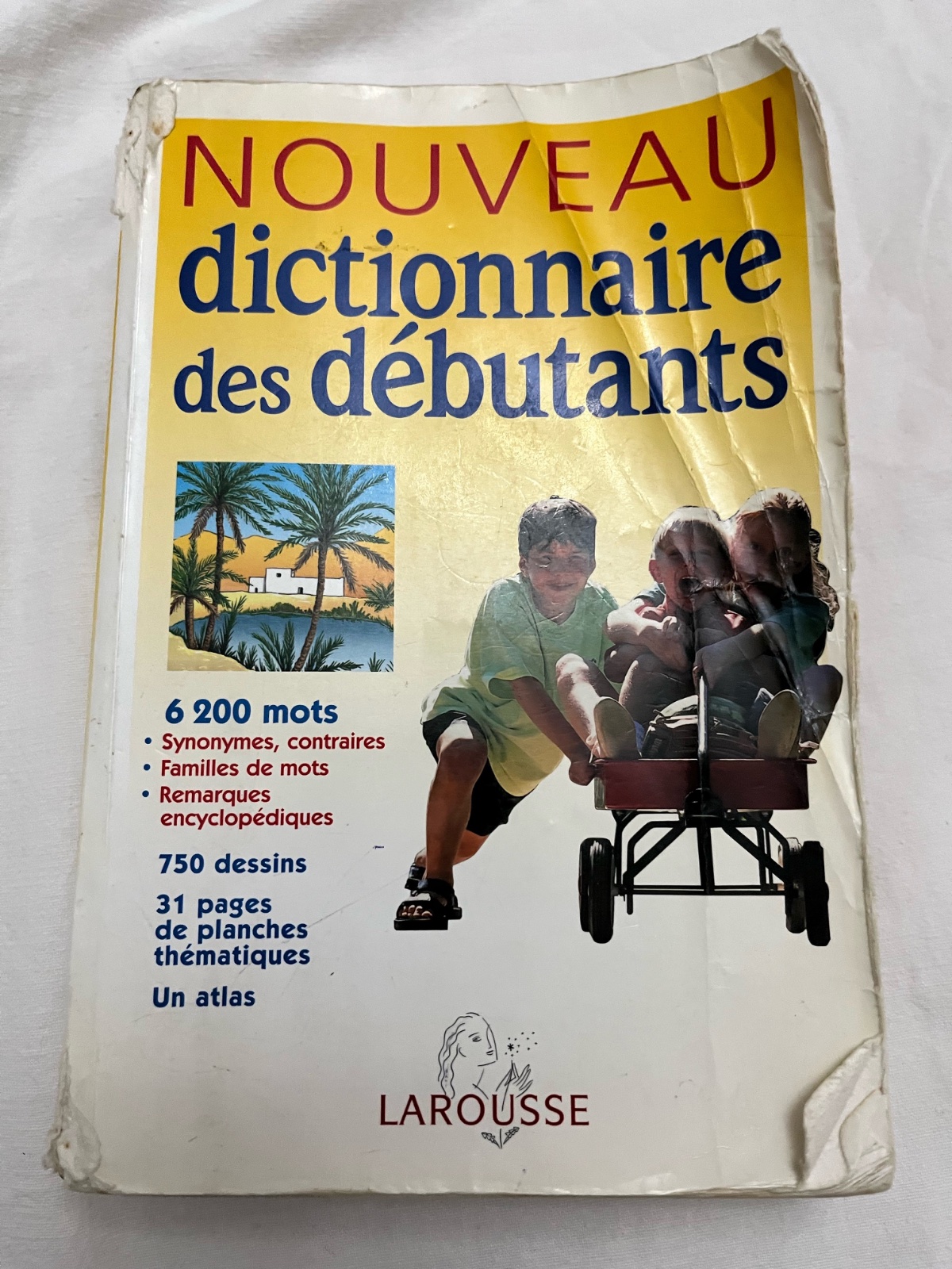 Nouveau dictionnaire des debutants 