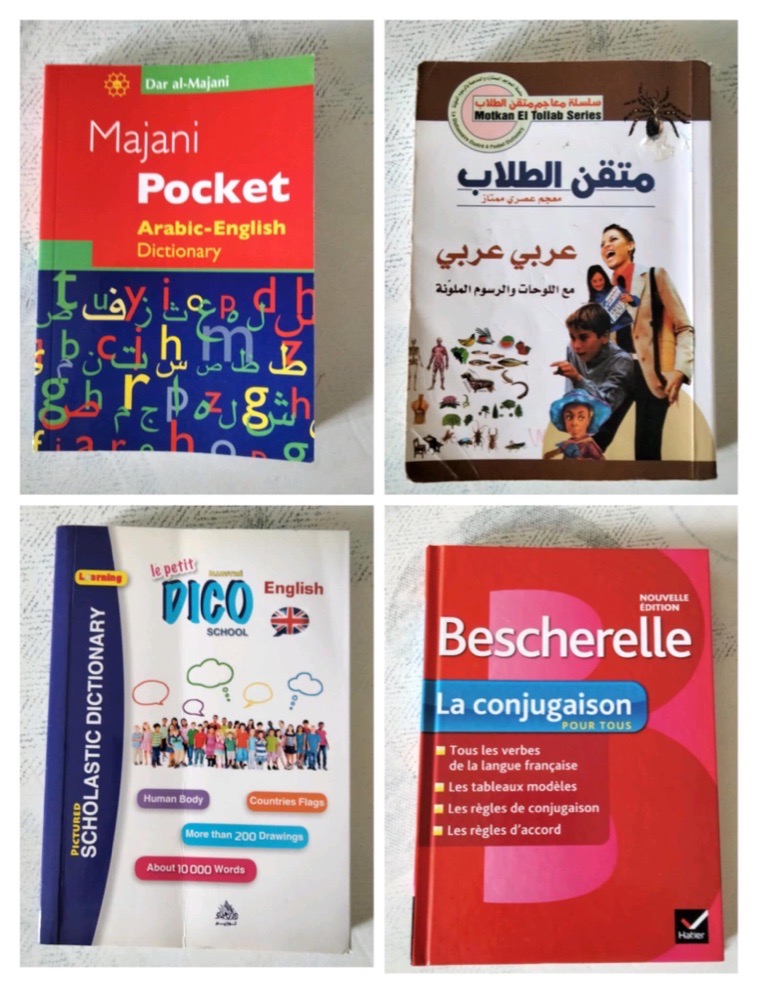  4 dictionnaires/ livre de conjugaison 🌺profitez des promos dabchy