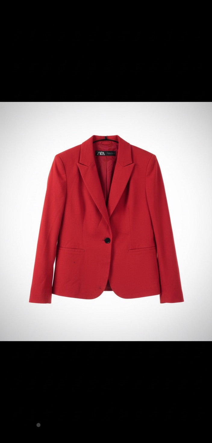 Blazer zara