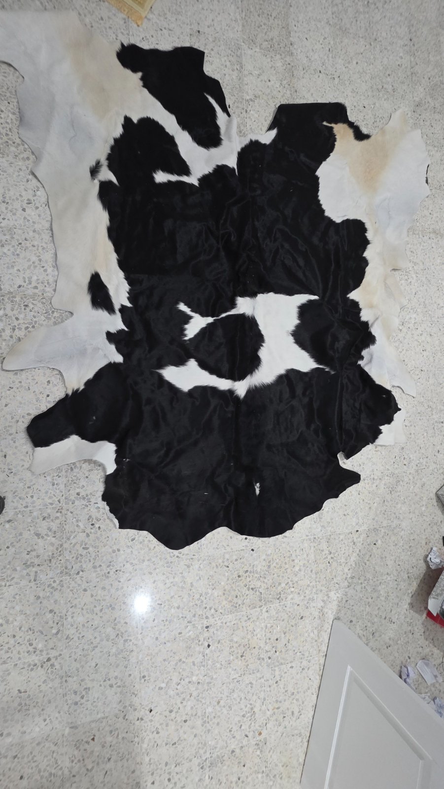 Tapis 