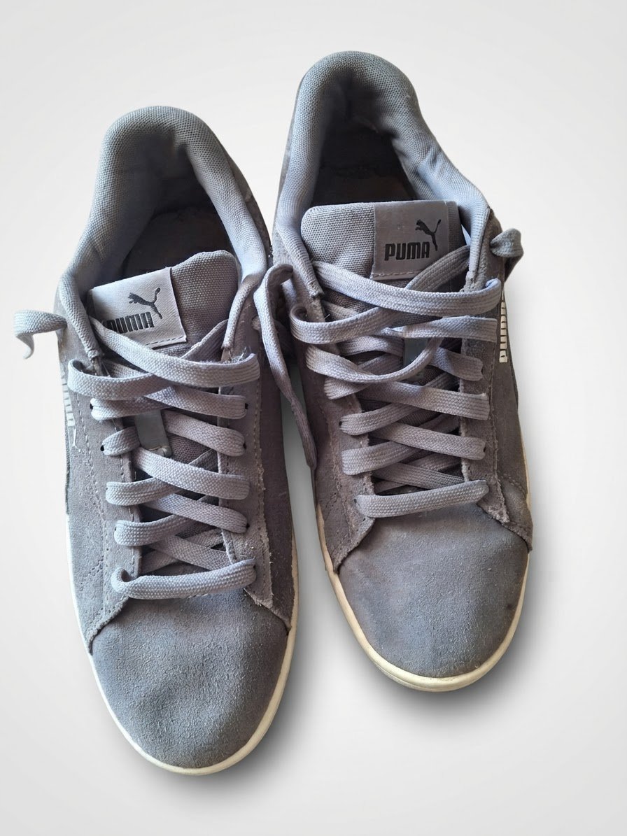 Basket puma
