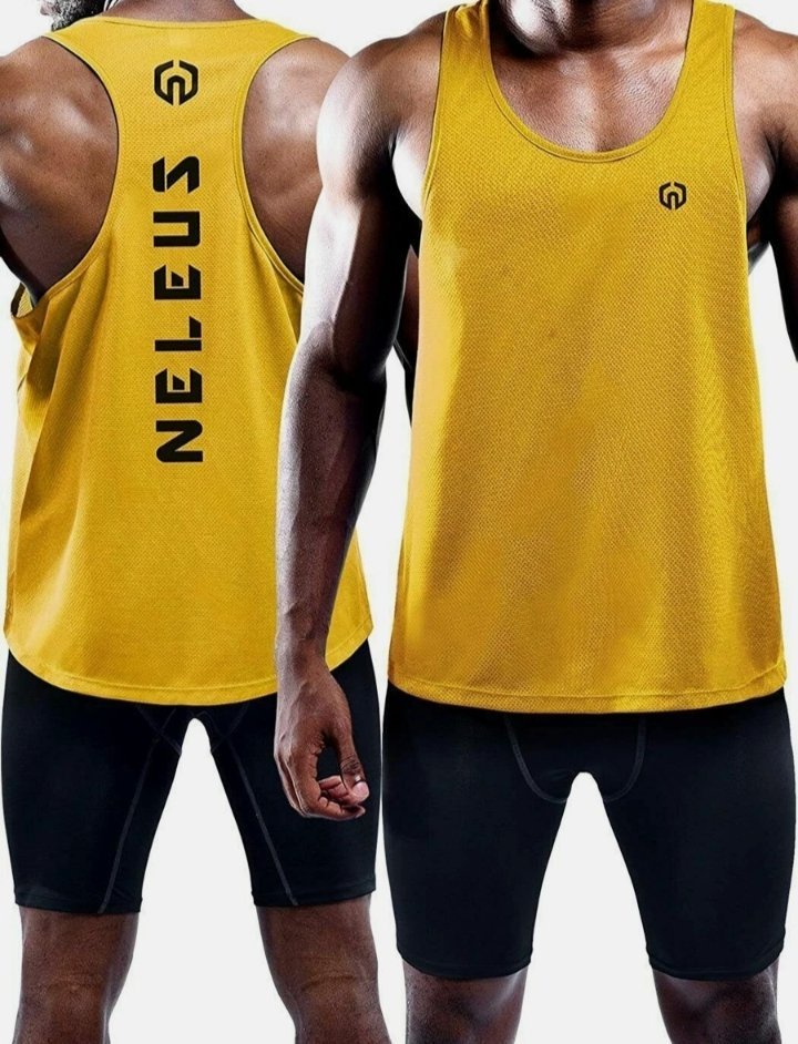 Neleus Y-Back 