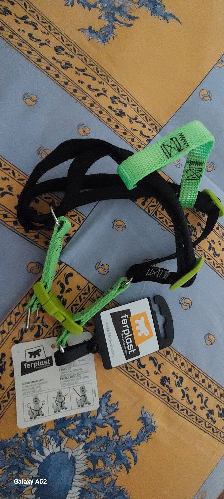 Harnais pour chien