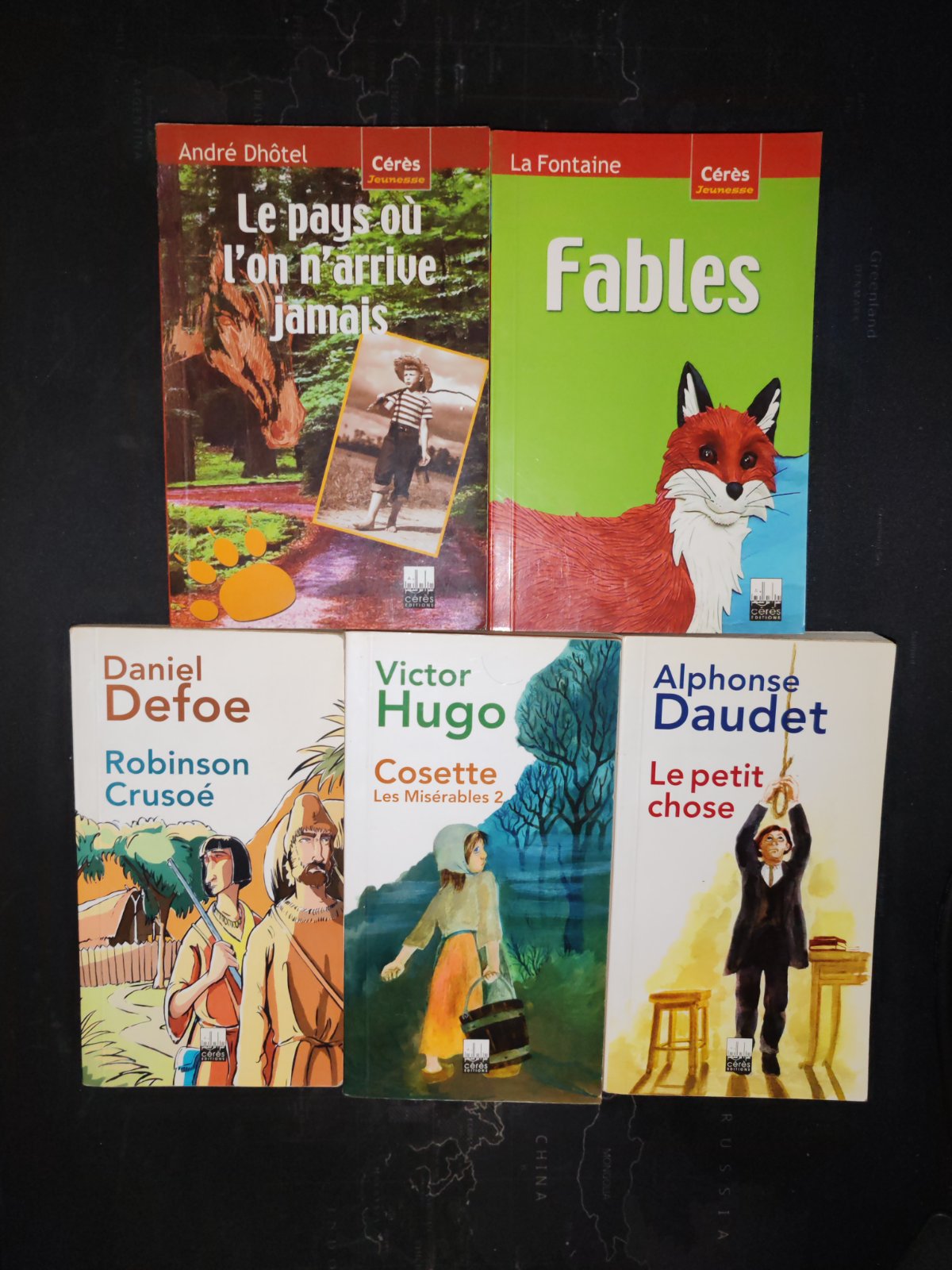 Lot de 5 livres de contes en Français 