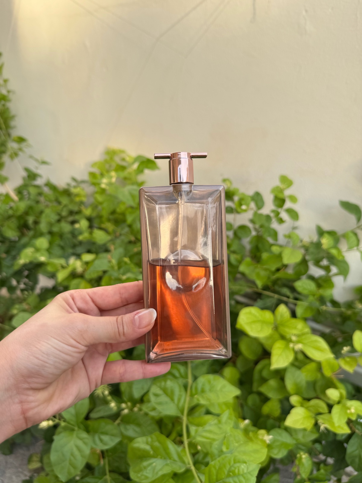 Idole l'intense :Lancome