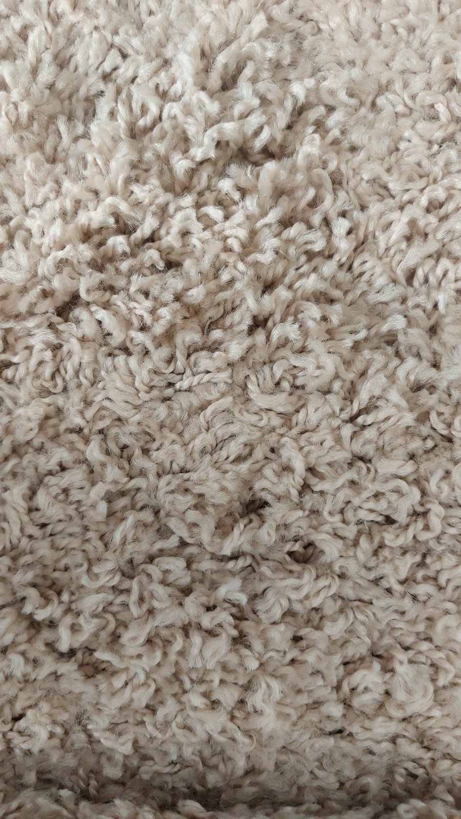 Tapis caniche beige jamais utilisé 