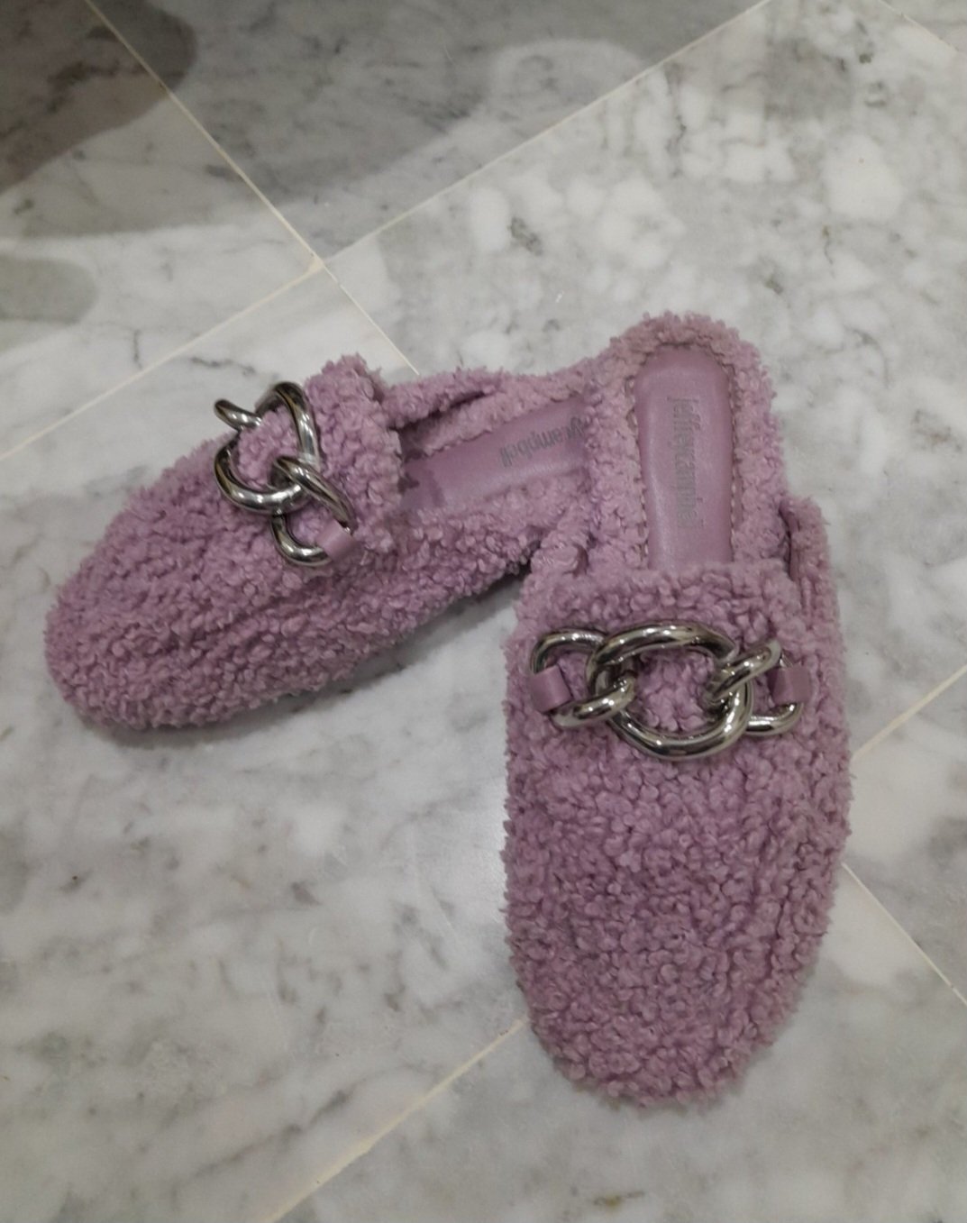 Mule hiver dafdouf 