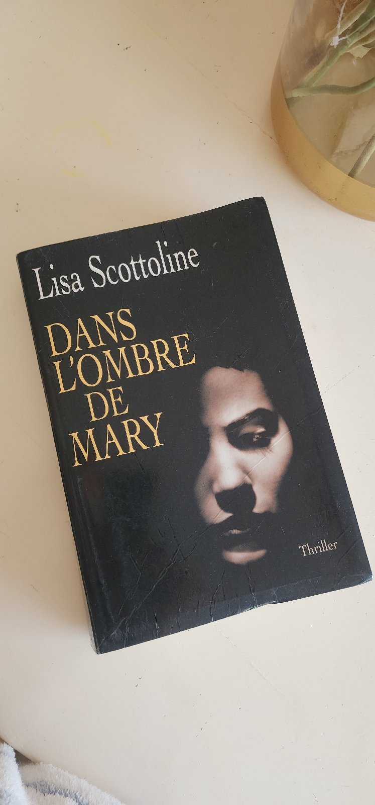 Livre Dans l’ombre de mary