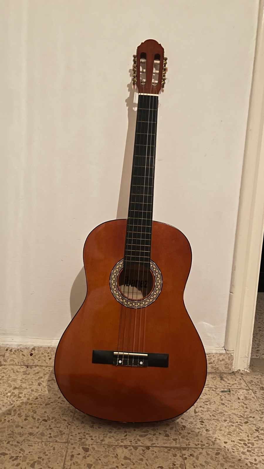 Guitar classic ibanez