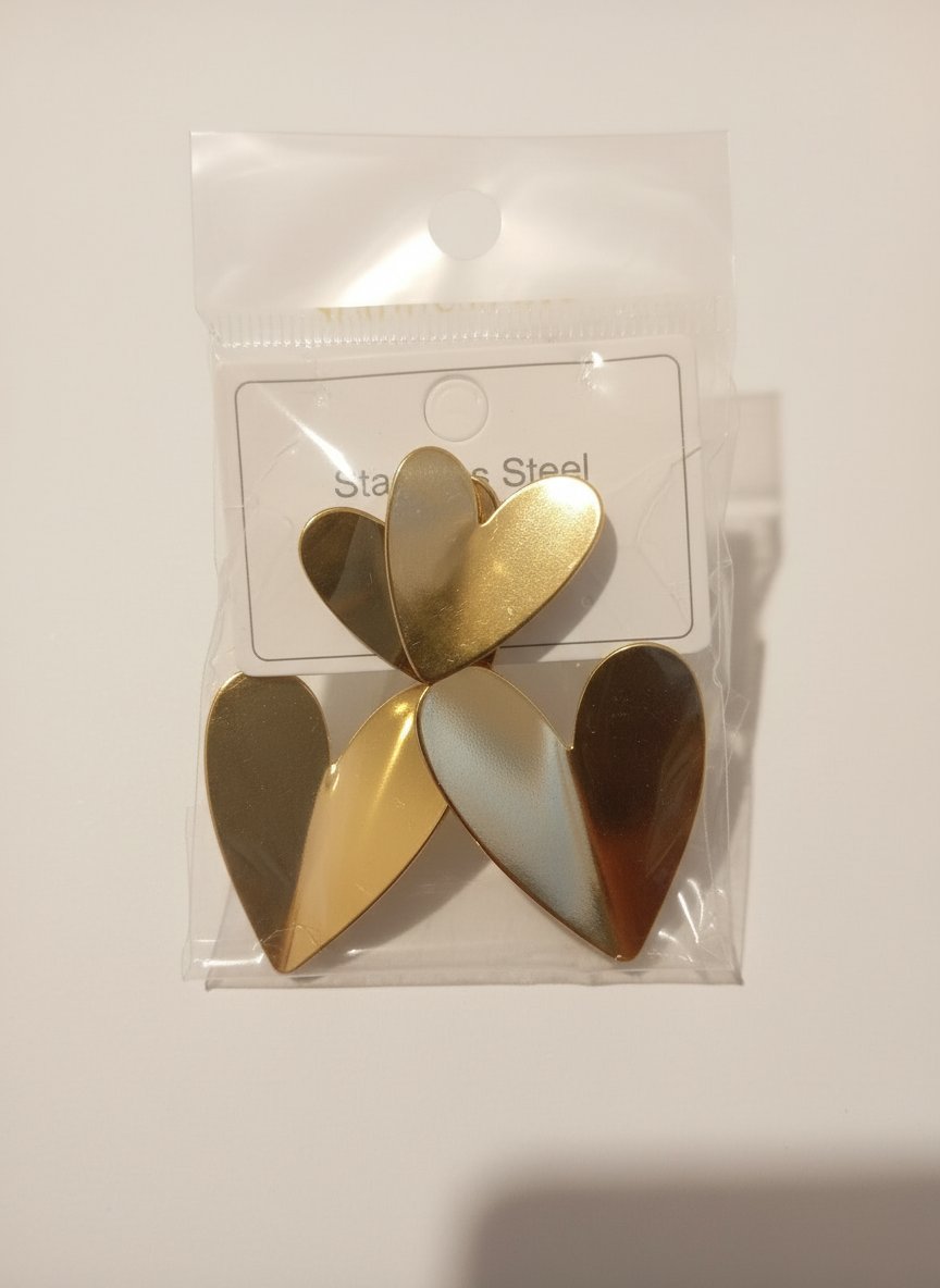 Stainless steel boucles d'oreilles