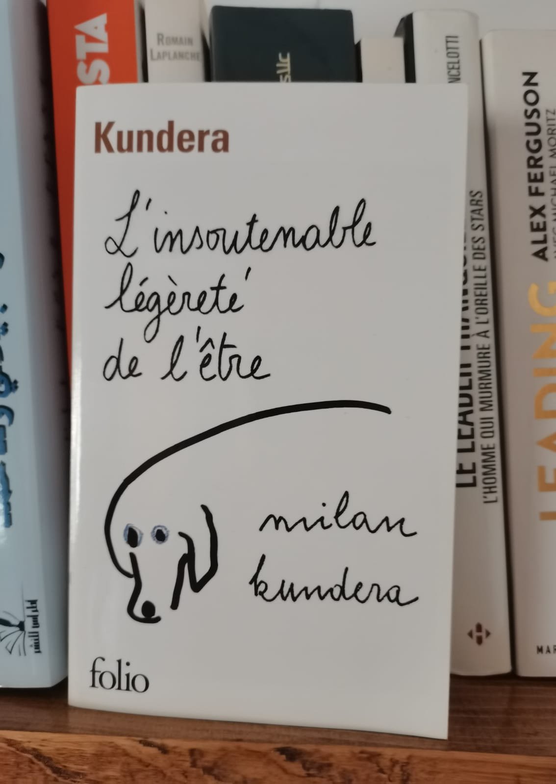 Livre neuf, en parfait état (10/10)