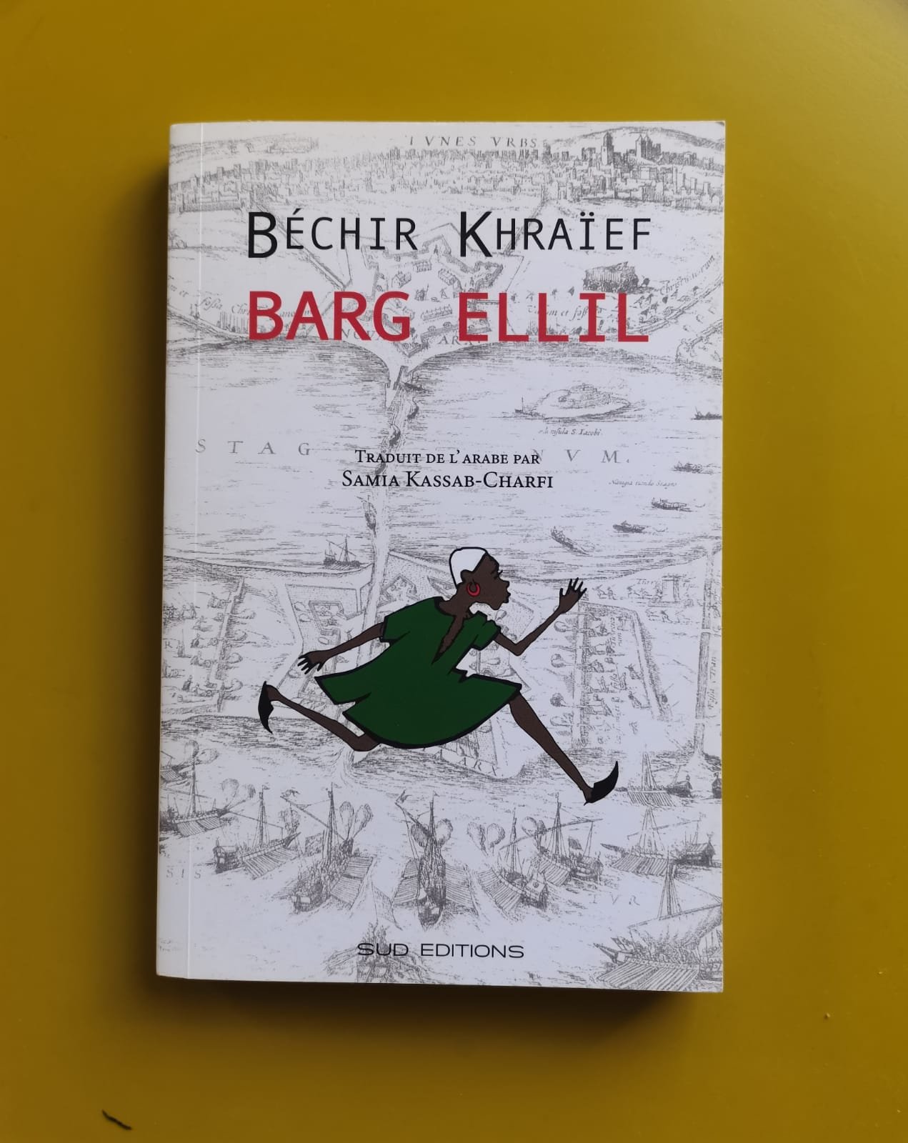 Livre en parfait état (10/10)