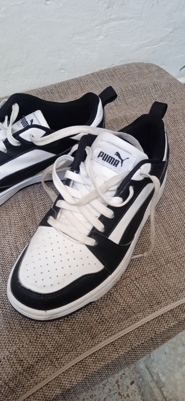 Basket garcon pointure 38